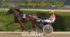 20.08.2026 Erfolge im Derbymeeting