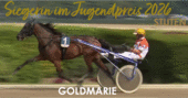 20.08.2026 Erfolge im Derbymeeting