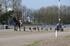 Am 19.03.17 in Hamburg: Pferdestärken gegen Pfoten.....