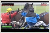 Prix d`Amerique 2016: Bold Eagle gewinnt vor Timoko...