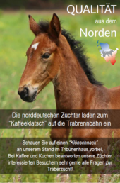 Renntag am 10.11.2024 in HH-Bahrenfeld