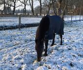 Tschüss RAMBO CORNER