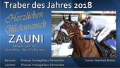 Zauni - Traber des Jahres 2018