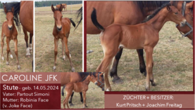 Caroline JFK Stute v. Partout Simoni