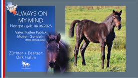 ALWAYS ON MY MIND  Hengst v. Father Patrick