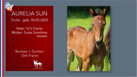 AURELIA  SUN Stute v. SJ's Caviar