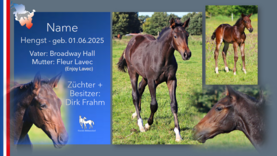 Hengst v. Broadway Hall