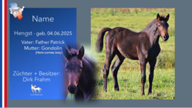 Hengst v. Father Patrick