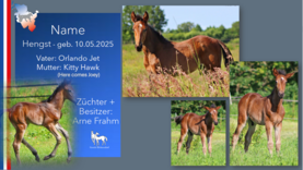 Hengst v. Orlando Jet