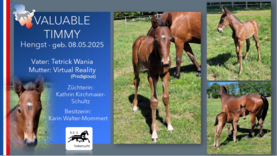 VALUABLE TIMMY Hengst v. Tetrick Wania