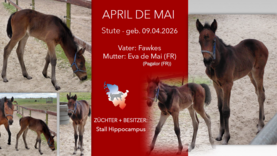 APRIL DE MAI Stute v. Fawkes