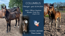 COLUMBUS Hengst v. Officer Stephen