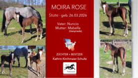 MOIRA ROSE, Stute v. Nuncio