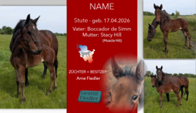 Stute v. Boccador de Simm (FR)