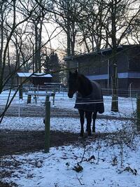 53065746_2227470023983981_5367902722710306816_n