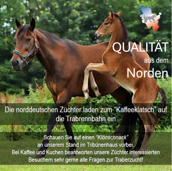 Anzeige 1