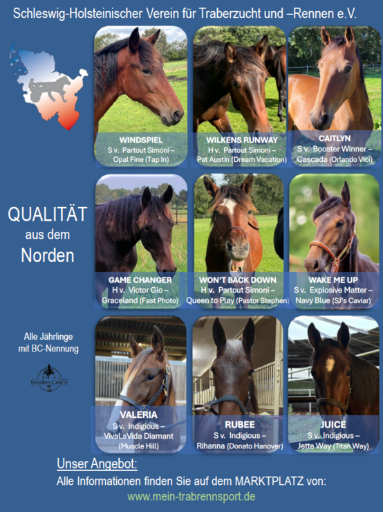 Anzeige TrabAktuell