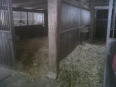 Boxen