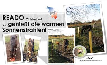 Reado 13.11.17