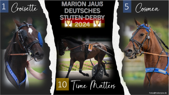 Stuten