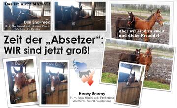 Zeit der Absetzer 1